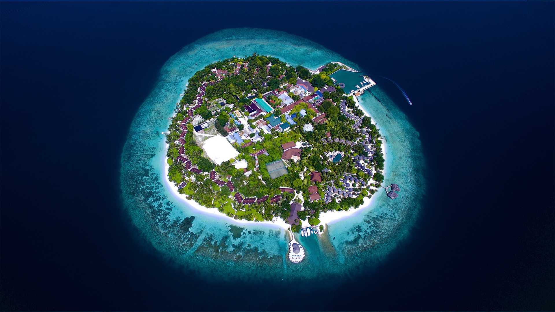Bandos maldives